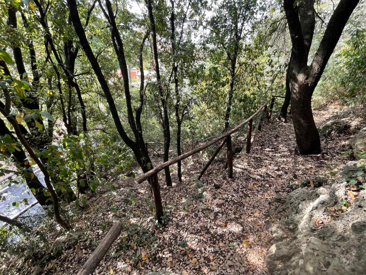 Villa Degli Ulivi Massa Marittima Bagian luar foto