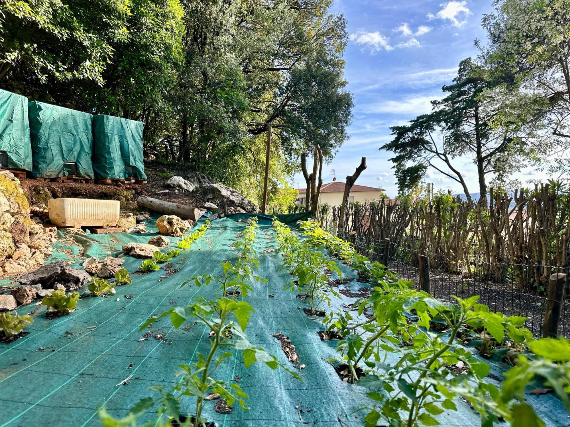 Villa Degli Ulivi Massa Marittima Bagian luar foto